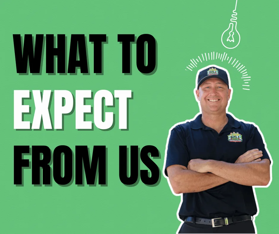 What to Expect from TLS Energy Savers
