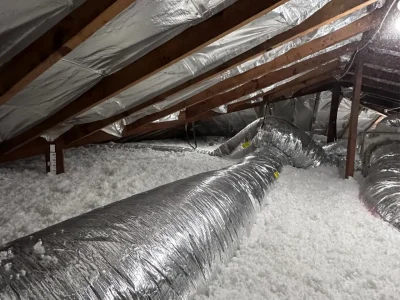 Ceiling Insulation